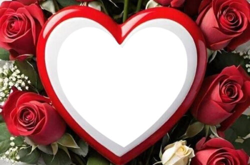 Elegant Photo Frame Magic Elegant Photo Frame Magic