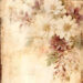 Beautiful Vintage Papers with Florals for Scrapbooking