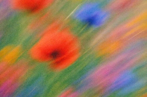 Bursting Blooms: Colorful Flower Art iPhone Wallpaper