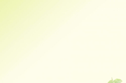 Free Fresh Green Leaf Backgrounds Free Fresh Green Leaf Backgrounds