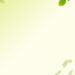 Free Fresh Green Leaf Backgrounds Free Fresh Green Leaf Backgrounds