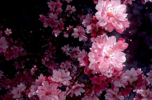 10 Stylish Wallpaper Ideas to Transform Your Space 10 Stylish Wallpaper Ideas to Transform Your Space