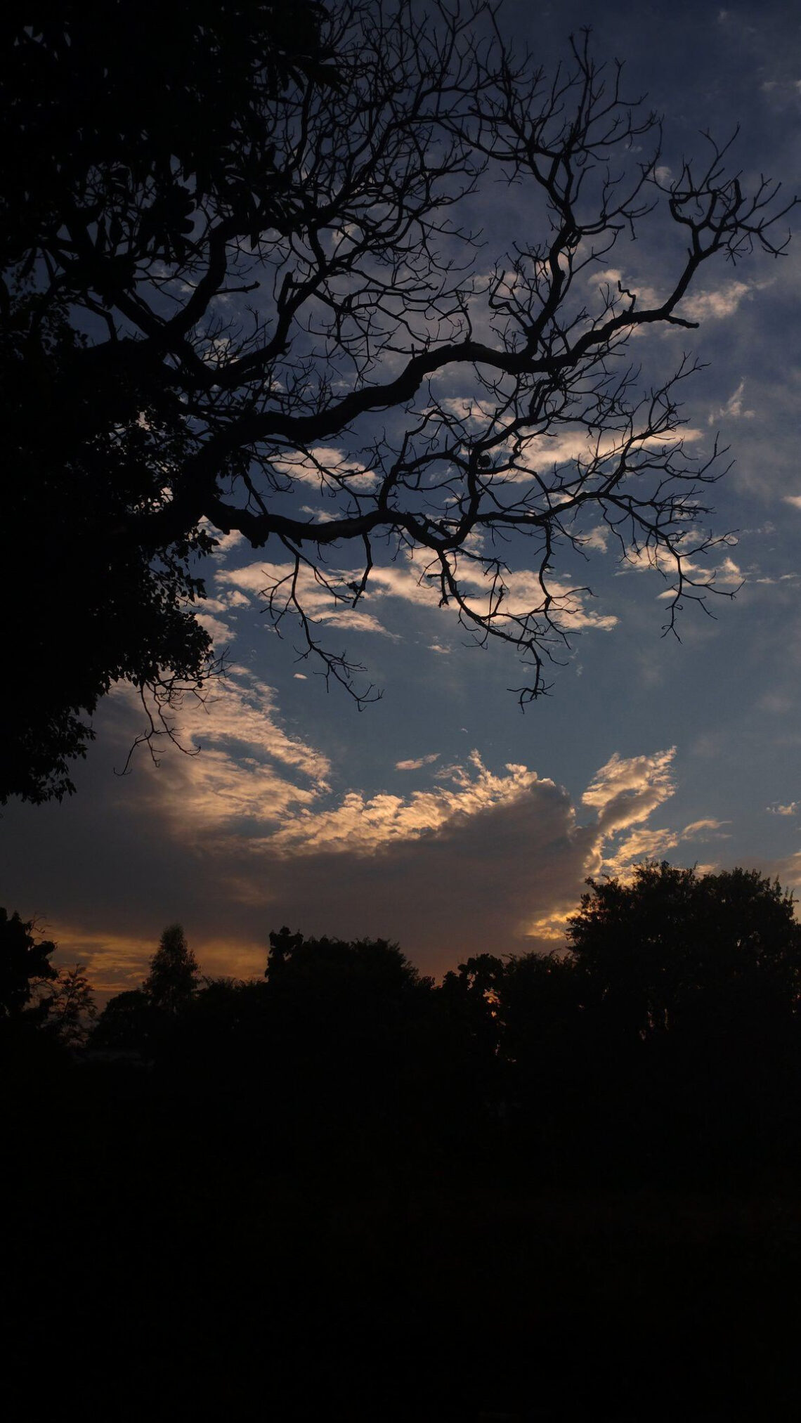 Mysterious Nights Come Alive