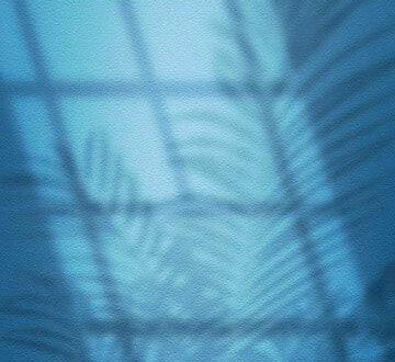 Free Light Shadow Tree Wallpaper Download