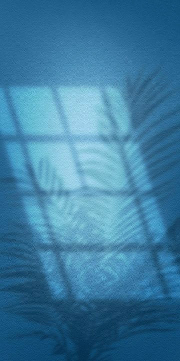 Free Light Shadow Tree Wallpaper Download