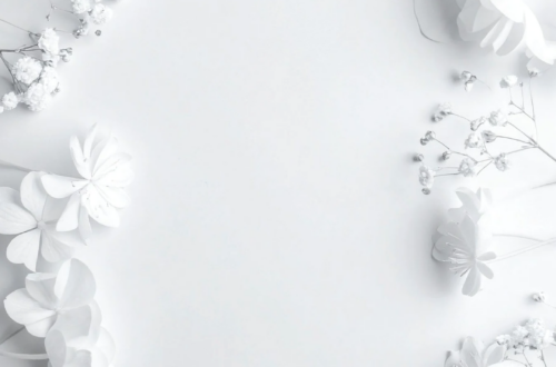 Elegant White Floral Frame Elegant White Floral Frame