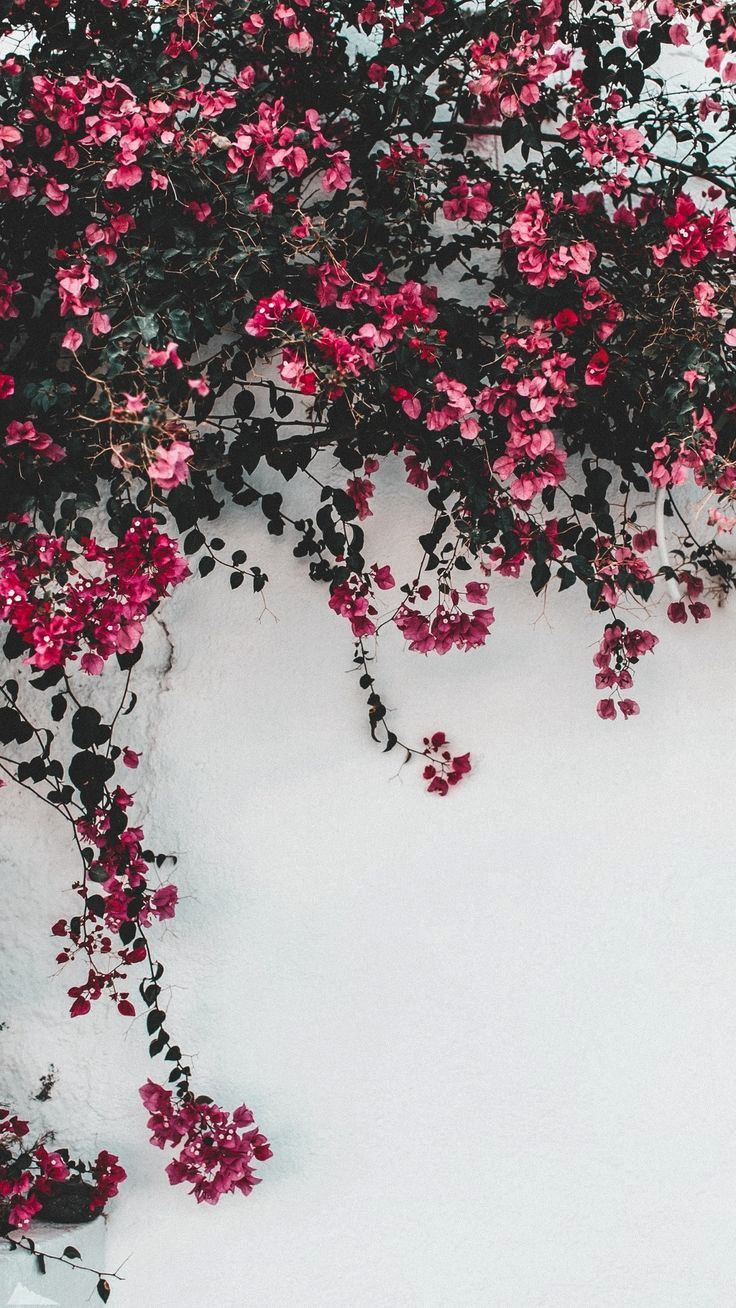 Get Honest — Share Your Opinion