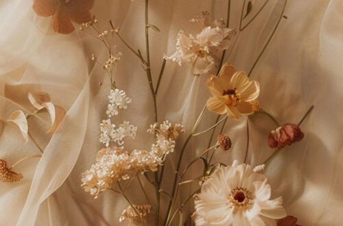 Elegant iPhone Wallpapers to Elevate Your Aesthetic Elegant iPhone Wallpapers to Elevate Your Aesthetic