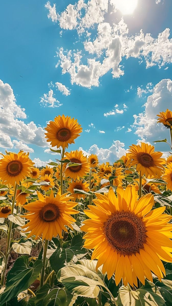 Blossoming Beauty for Your Phone