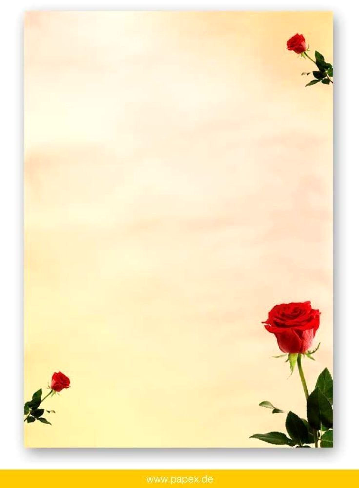 Elegant Quote Borders