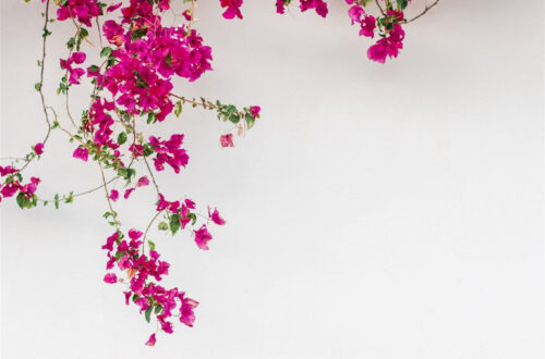 Desert Oasis Retreat Desert Oasis Retreat