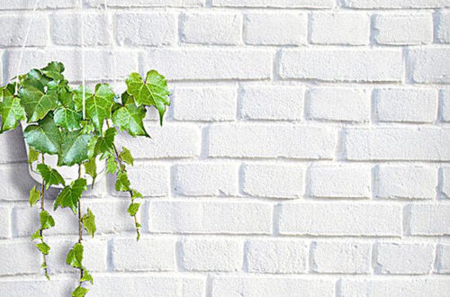 Free Small Fresh Green Backgrounds for H5