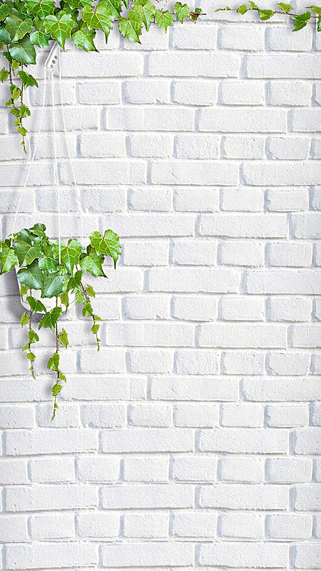 Free Small Fresh Green Backgrounds for H5