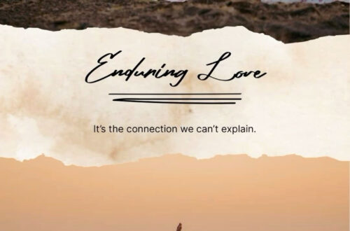 Perfect Pair: Hitesh & Avni