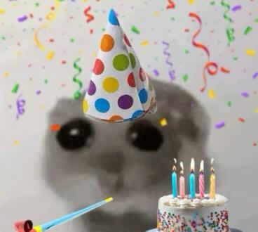 Birthday Wishes You’ll Love