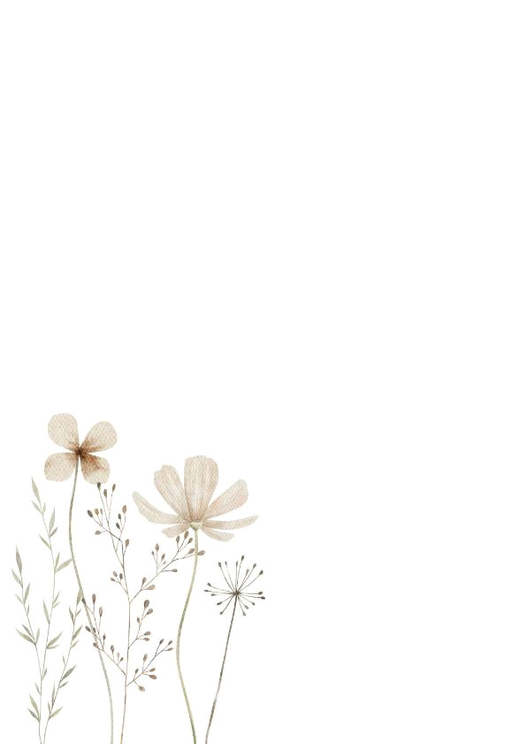 Bring Life to Dried Flowers with These Stunning Tips