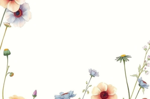 Discover Vibrant Wildflowers From Around the World