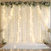 Elegant 5ft x 10ft Chiffon Backdrop with String Lights for Wedding Parties