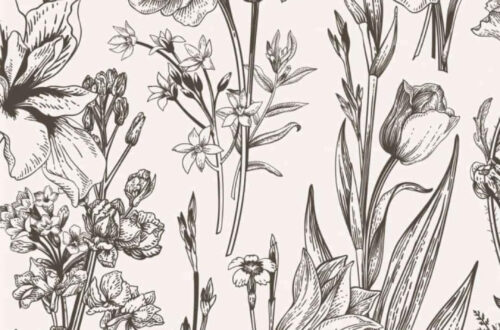 Unlock the Secret Garden Inside Your Home Unlock the Secret Garden Inside Your Home