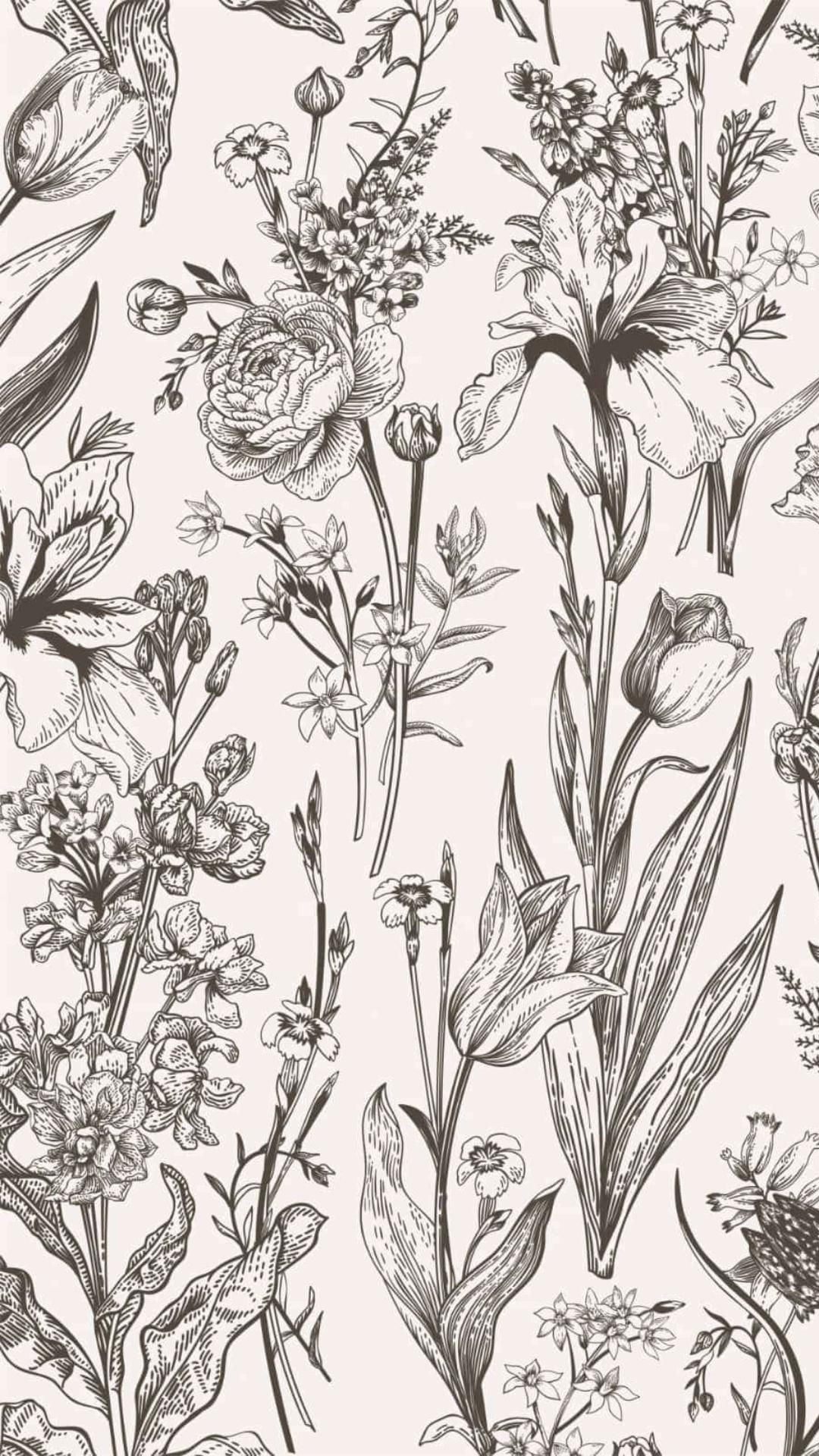 Unlock the Secret Garden Inside Your Home