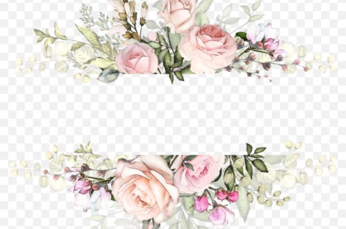 Download Free Watercolor Flower Backgrounds in High-Res PNG