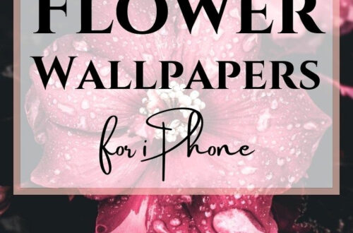 Vibrant Snowflakes on Your iPhone Wallpapers Vibrant Snowflakes on Your iPhone Wallpapers