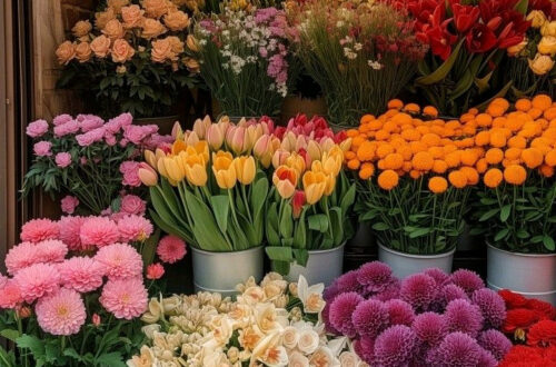 Transform Your Walls in an Instant Transform Your Walls in an Instant