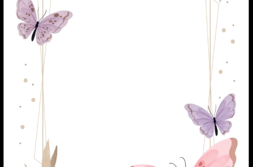 Birthday Invitation Ideas Birthday Invitation Ideas