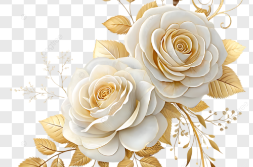 Free Watercolor Rose PNG for Instant Decorating