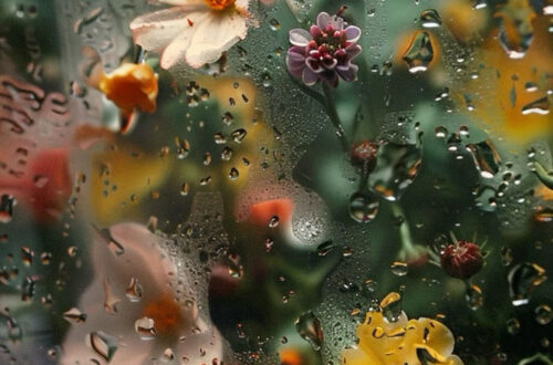 Instant Download: Free Beautiful Wallpapers