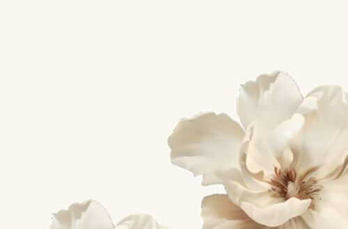 Elevate Your Space with Statement Wallpaper Elevate Your Space with Statement Wallpaper