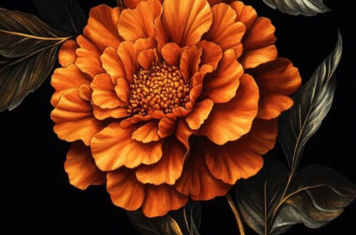 Dramatic Gothic Flowers on Black Darkness Wallpapers Dramatic Gothic Flowers on Black Darkness Wallpapers