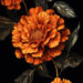 Dramatic Gothic Flowers on Black Darkness Wallpapers