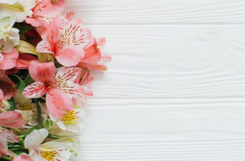 White Wood Background With Fresh Blooms