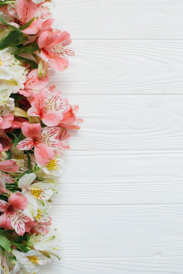 White Wood Background With Fresh Blooms