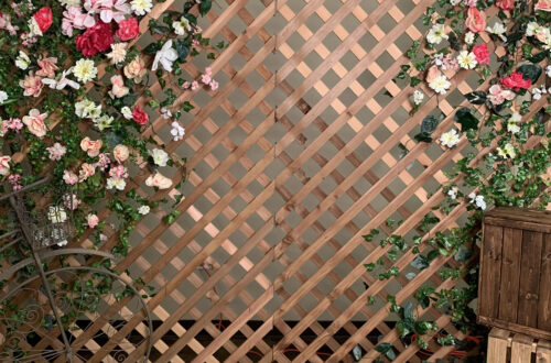 Elegant Photography Aesthetic for Girls