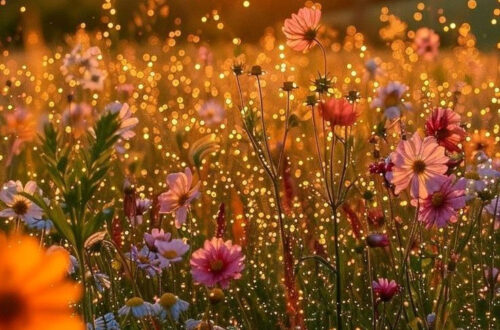 Mood-Boosting Art to Transform Your Space Mood-Boosting Art to Transform Your Space