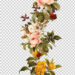 Download Free Floral PNG Images