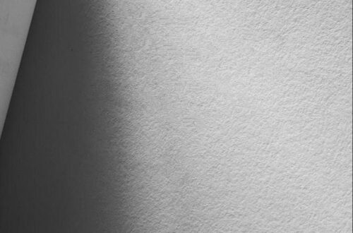 Meet Your New Favorite Fashion Influencer