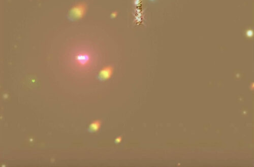 Add Sparkle to Your Life