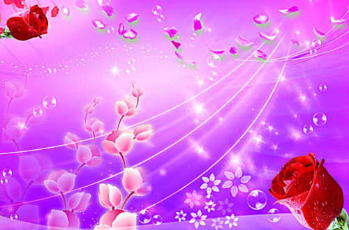 Free Rose Backgrounds: Pink Floral Wedding PNG & Vector Images