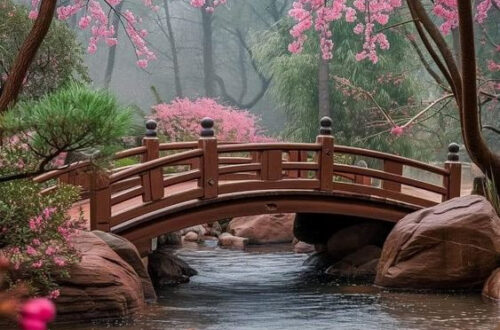 Snap Stunning Photos: 10 Artistic Photography Tips