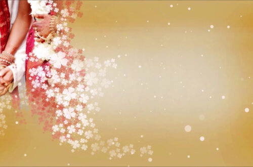Dazzling Wedding Backgrounds: Animated HD Videos Dazzling Wedding Backgrounds: Animated HD Videos