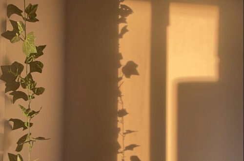 Falling in Love with the Art of Romance