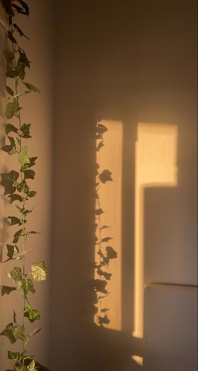 Falling in Love with the Art of Romance