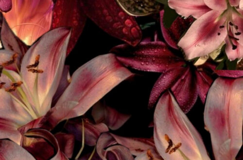 Breathtaking Flower Arrangements