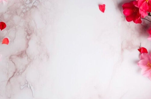 Love of My Life Love of My Life