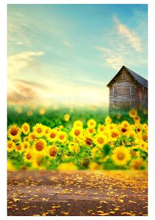 50 Free Studio Backgrounds to Revolutionize Your Photos