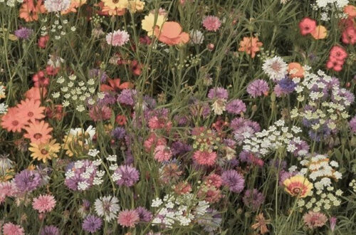 Breathtaking Vintage Flowers Wallpapers for Spring