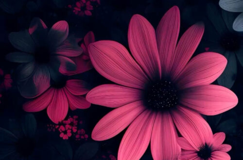 Transform Your Space with Epic Wallpaper Transform Your Space with Epic Wallpaper